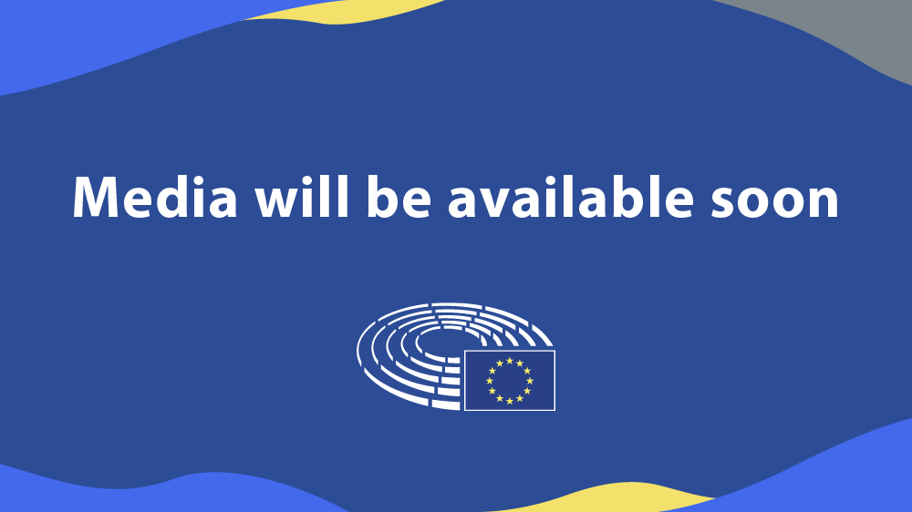 EP - European Union Institute High-level conference ' Enlarging and Deepening the Union: What’s at stake for the EU and EU citizens in the next parliamentary term? '